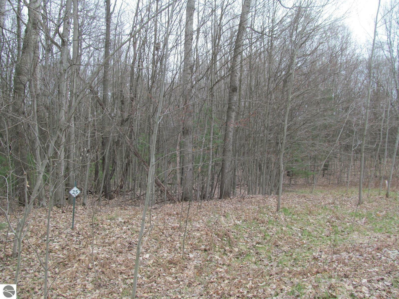 Property Photo:  Lot 25 River Woods Road River Woods Estates #2  MI 49651 