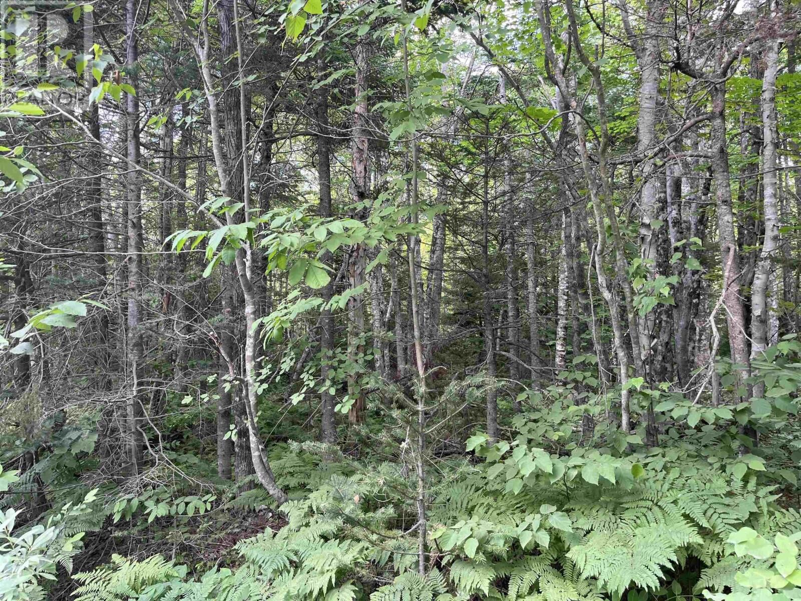 Property Photo:  5 Lot 5 Butler Road Road  NS B4N 3V8 