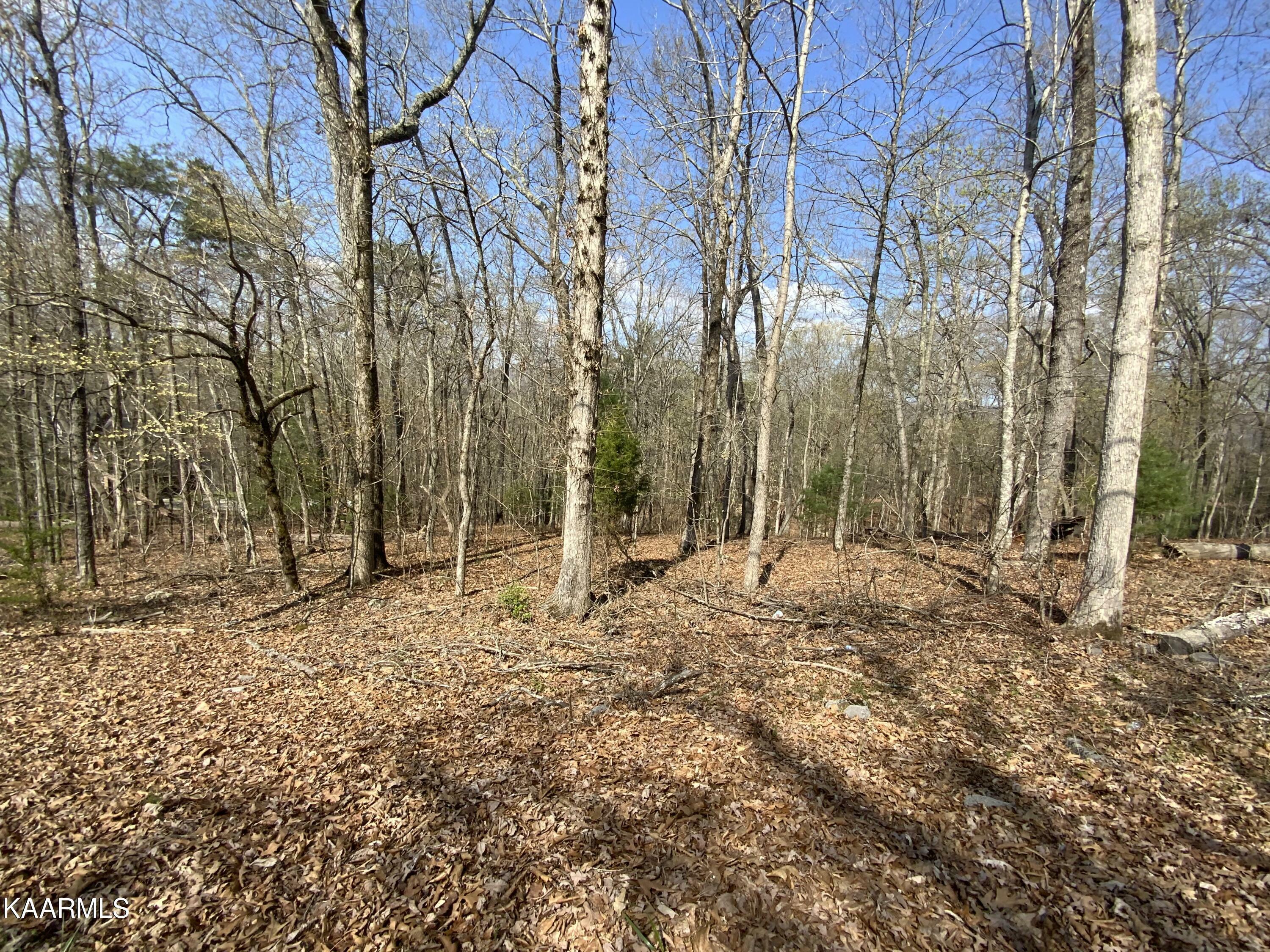 Property Photo:  Rendezvous Rd Lot 21&Amp22  TN 37854 