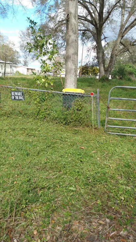 Property Photo:  17309 Brynwood Lane  FL 34974 