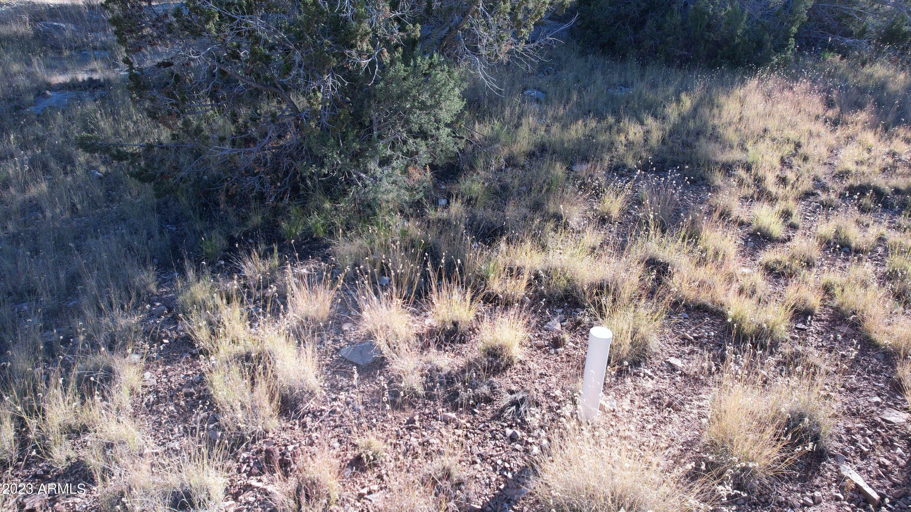 Property Photo:  30863 W Basconia Road 4315  AZ 86337 