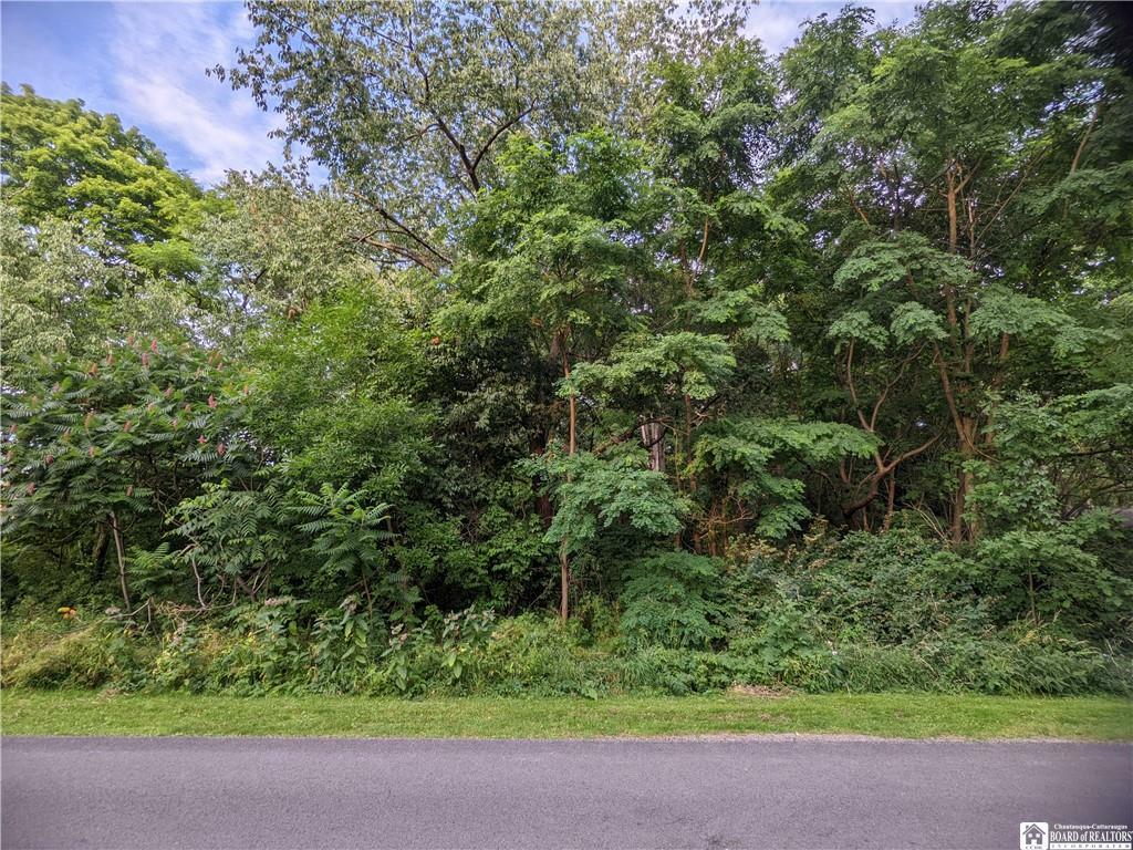 Property Photo: 0 Heineman Road NY 14742