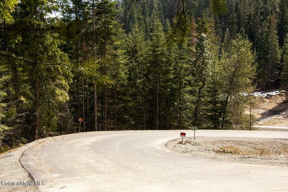 Property Photo: L3 B1 Wildcat S Wildcat Creek Road ID 83835