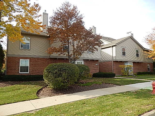 Property Photo: 131 Kristin Circle 10 IL 60195