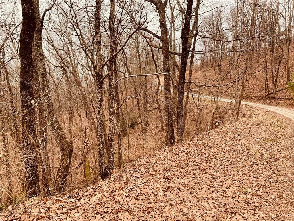 Property Photo: 00 Bull Gap Road GA 30143