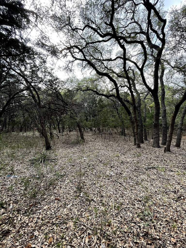 Property Photo: Tbd Cedar Hill Rd TX 78003