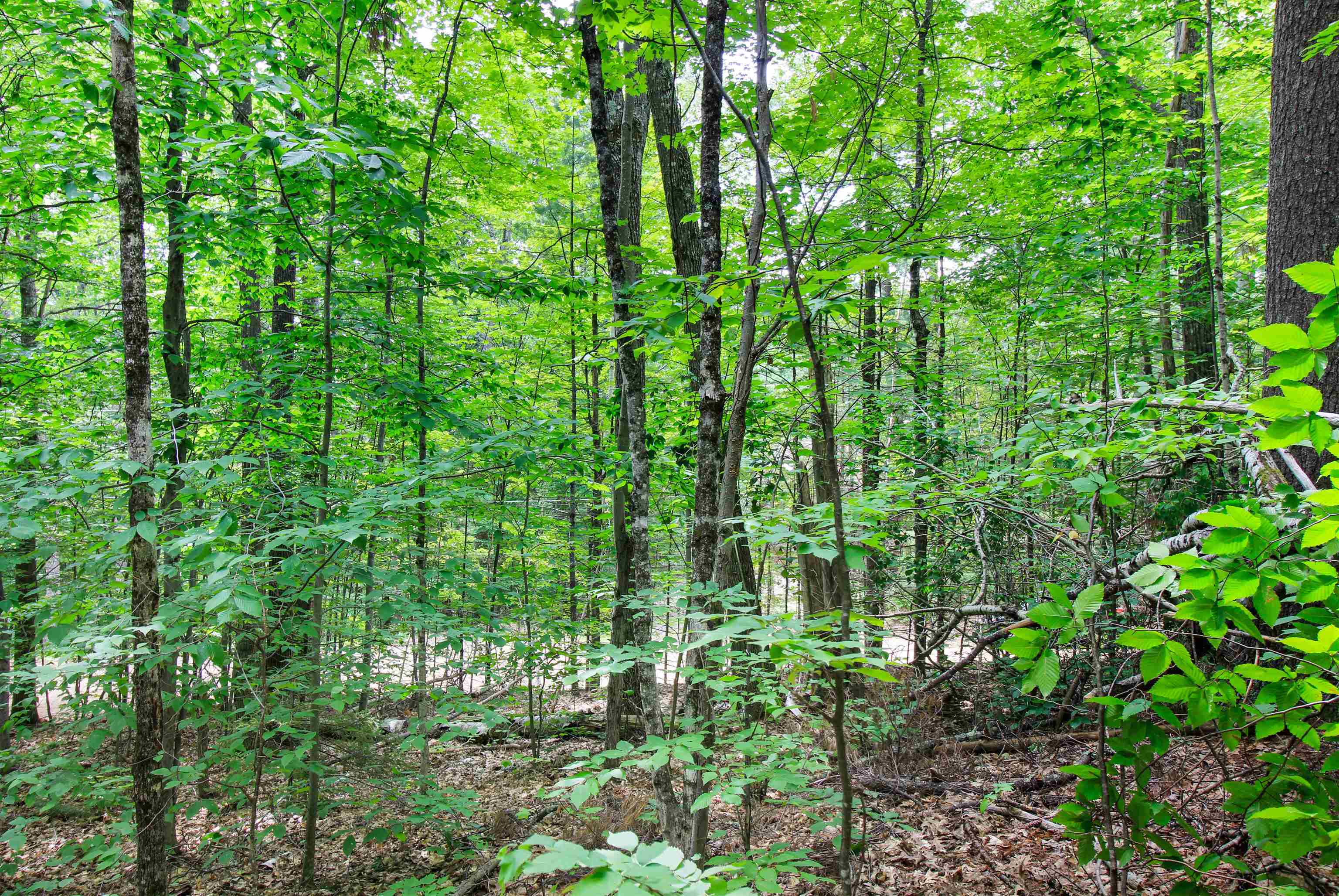 Property Photo: Lot H-15 Tobey Road NH 03223