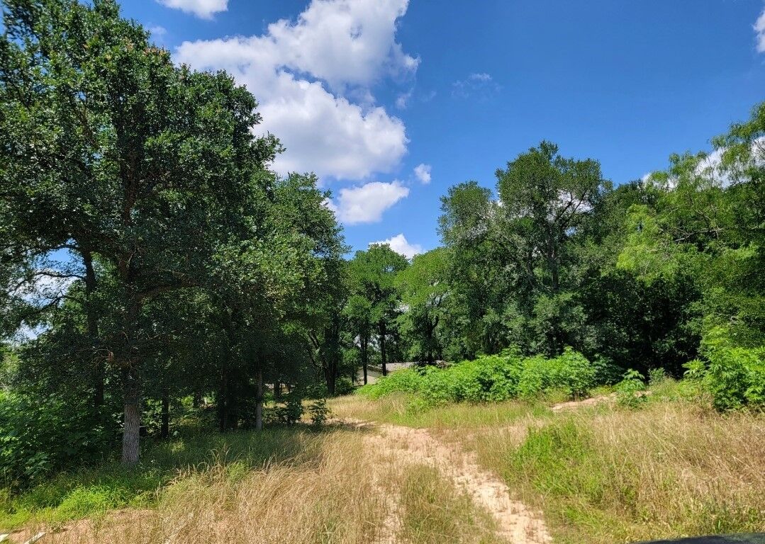Property Photo:  178 Triangle Acres Lane  TX 78612 