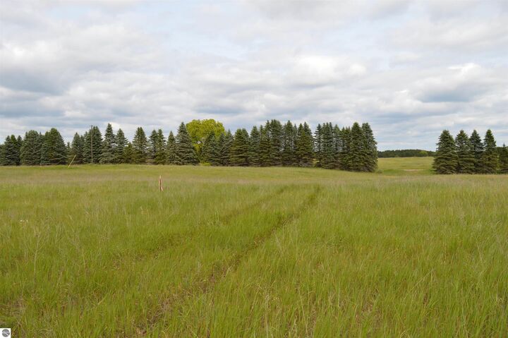 Property Photo: O Summit City Road MI 49649