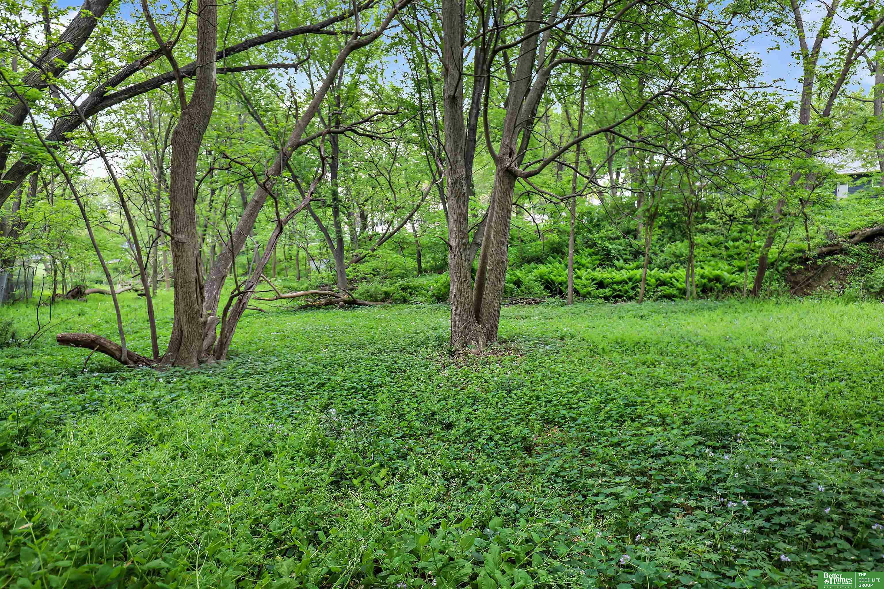 Property Photo: 10543 Poppleton NE 68124