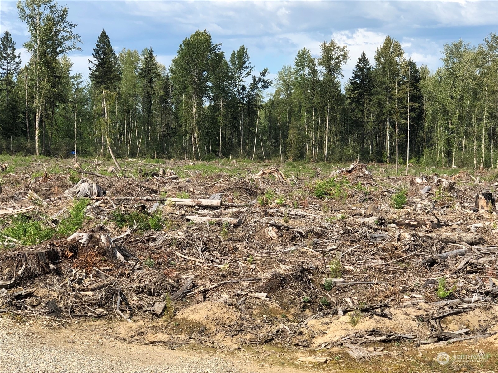 Property Photo: 0 340th Street E WA 98580