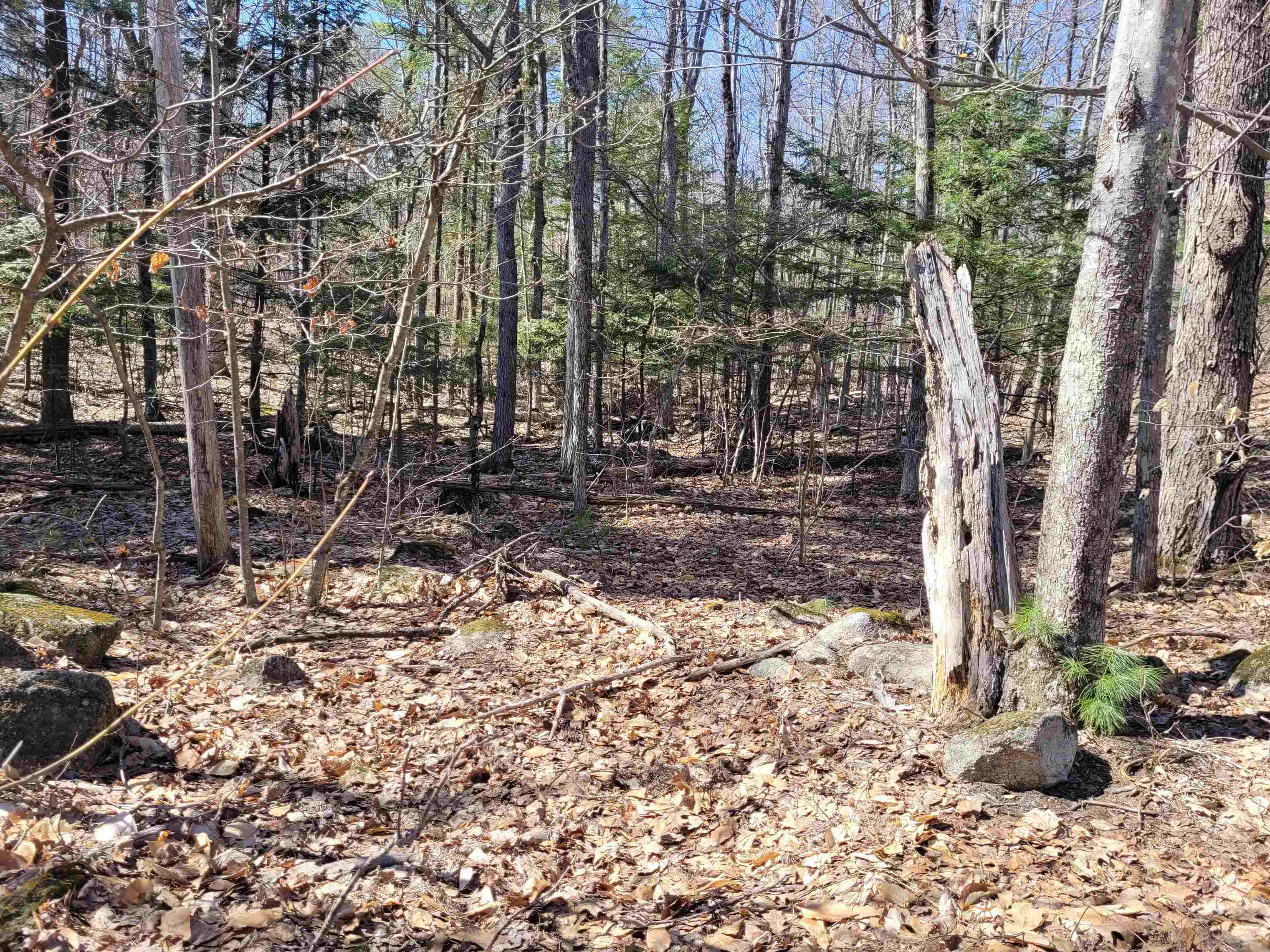 Property Photo:  Lot 8 Merrymeeting Road  NH 03855 