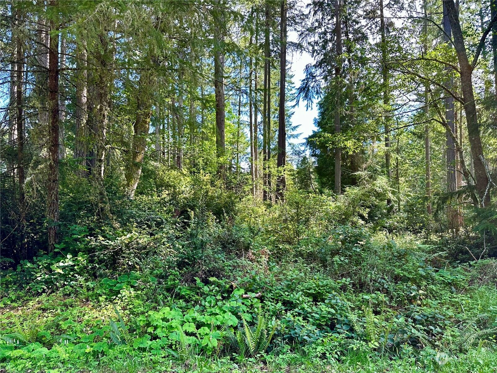 Property Photo:  11404 Admiralty Way  WA 98303 