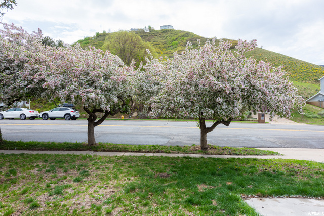 Property Photo: 3240 S Bountiful Blvd E UT 84010
