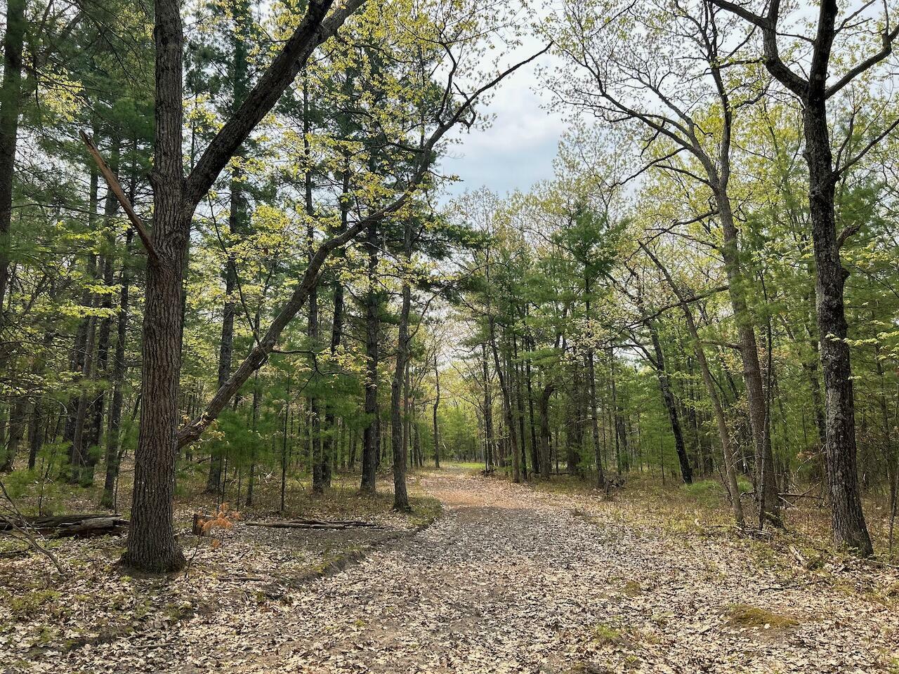 Property Photo:  Vacant Horizon Trail 8.26 Acres  MI 49749 