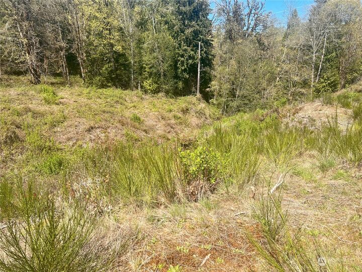 Property Photo: 214 Xx E State Route 3 WA 98528