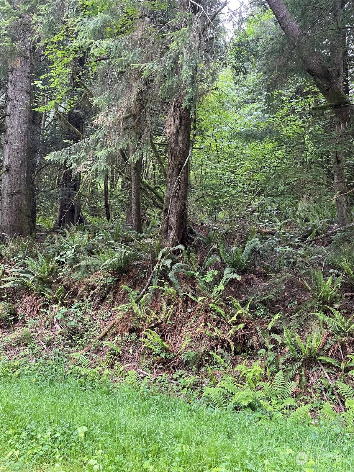 Property Photo: 251 Lot 002 Woods Creek Road WA 98290