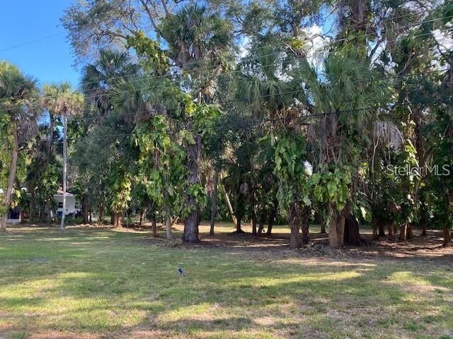 Property Photo:  Groveland Avenue  FL 34285 