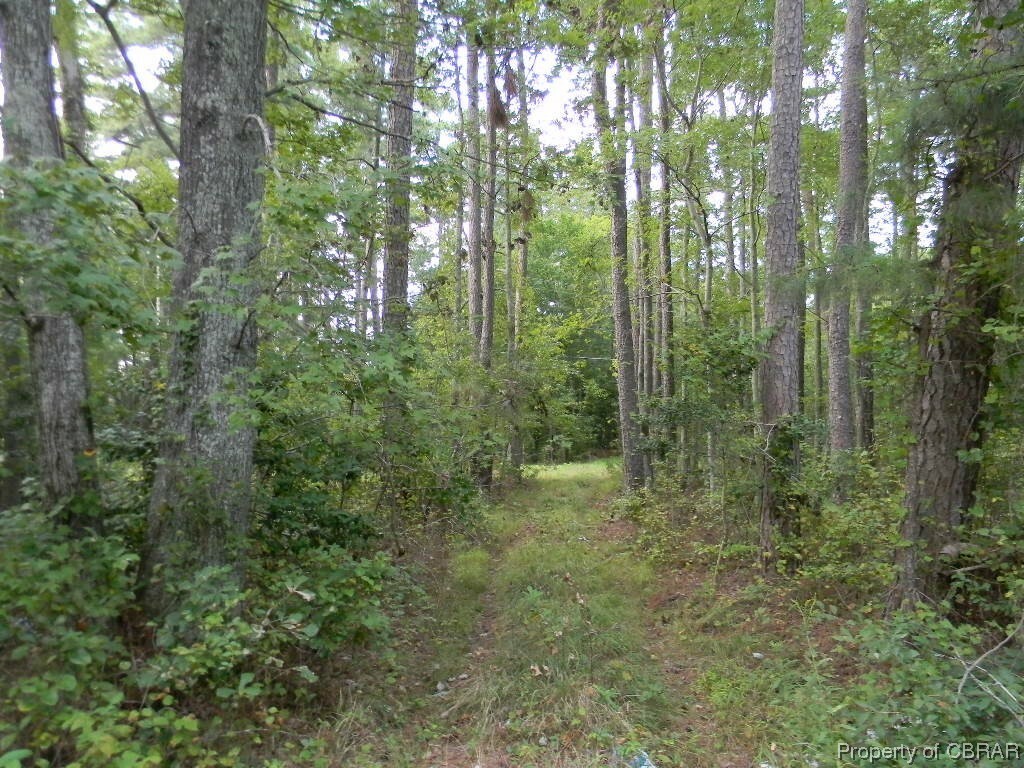 Property Photo:  9167 A Guinea Road  VA 23072 