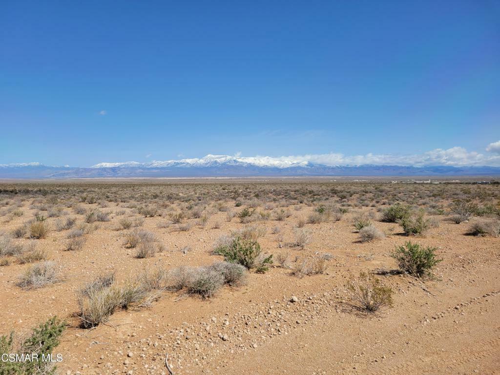 Property Photo:  Spring Valley Ranchos Lot 167  CA  