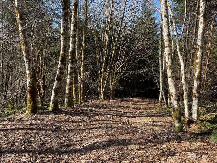 Property Photo:  0  Highway 503  WA 98674 