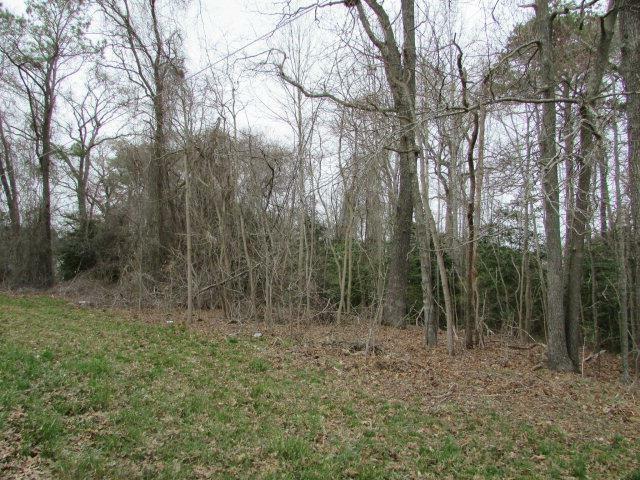 Property Photo:  Lot 13 Wallops Millpond Rd  VA 23415 