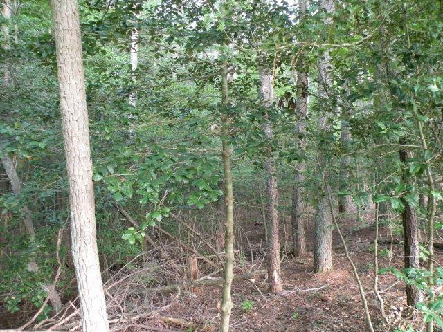 Property Photo:  Lot 19 East Field Dr  VA 23306 