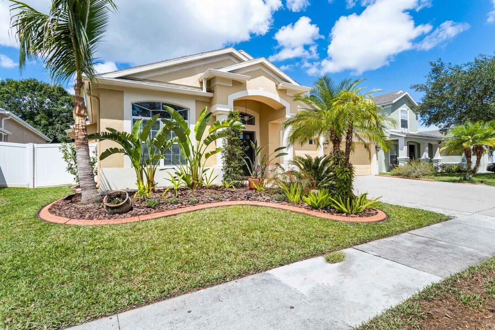 Property Photo:  3531 Fortingale Drive  FL 33543 