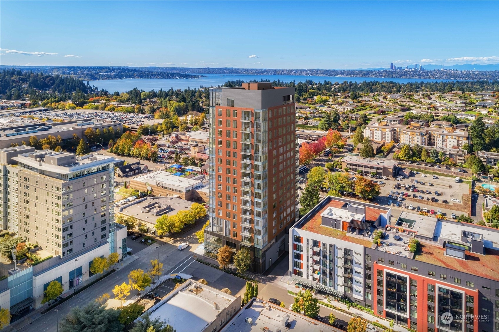 10232 NE 10th Street 1010  Bellevue WA 98004 photo