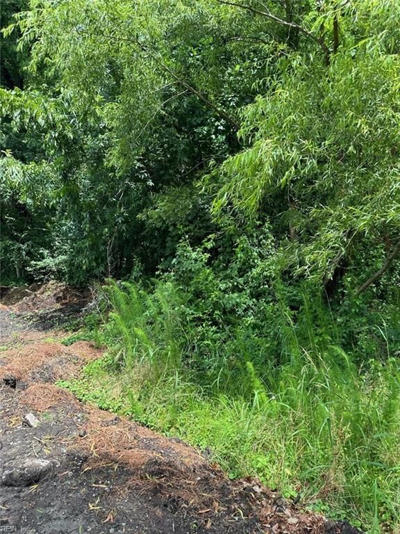 .18ac Clifton Street  Suffolk VA 23435 photo