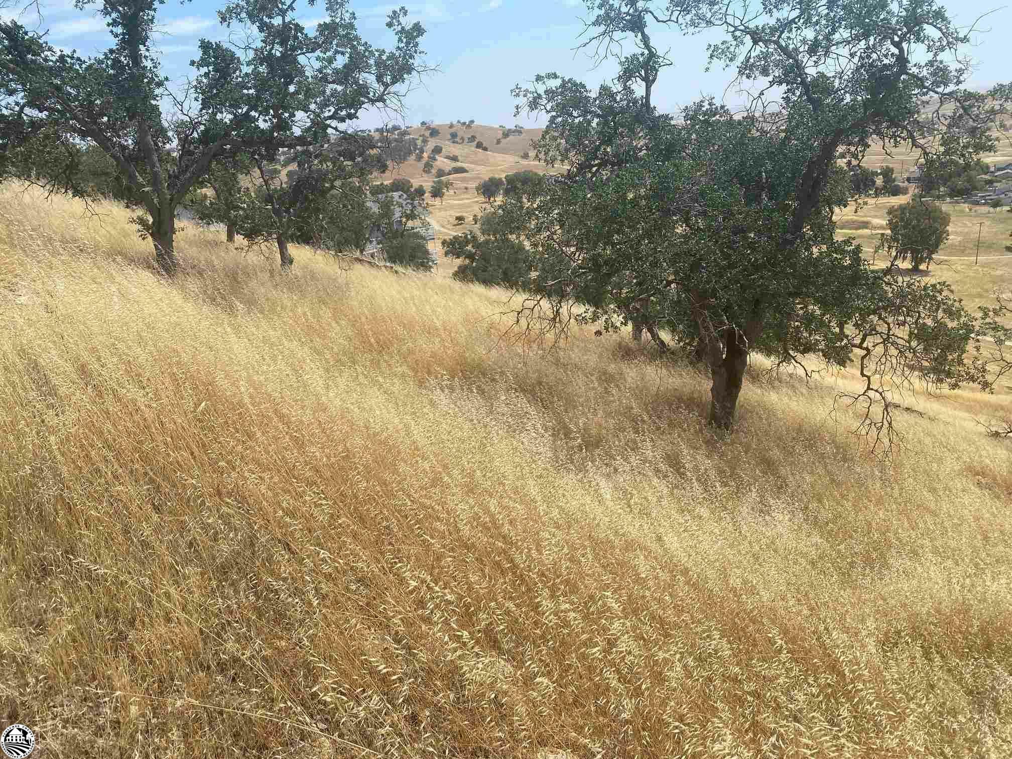 Property Photo:  9104 Capullo Lot#1581  CA 95329 