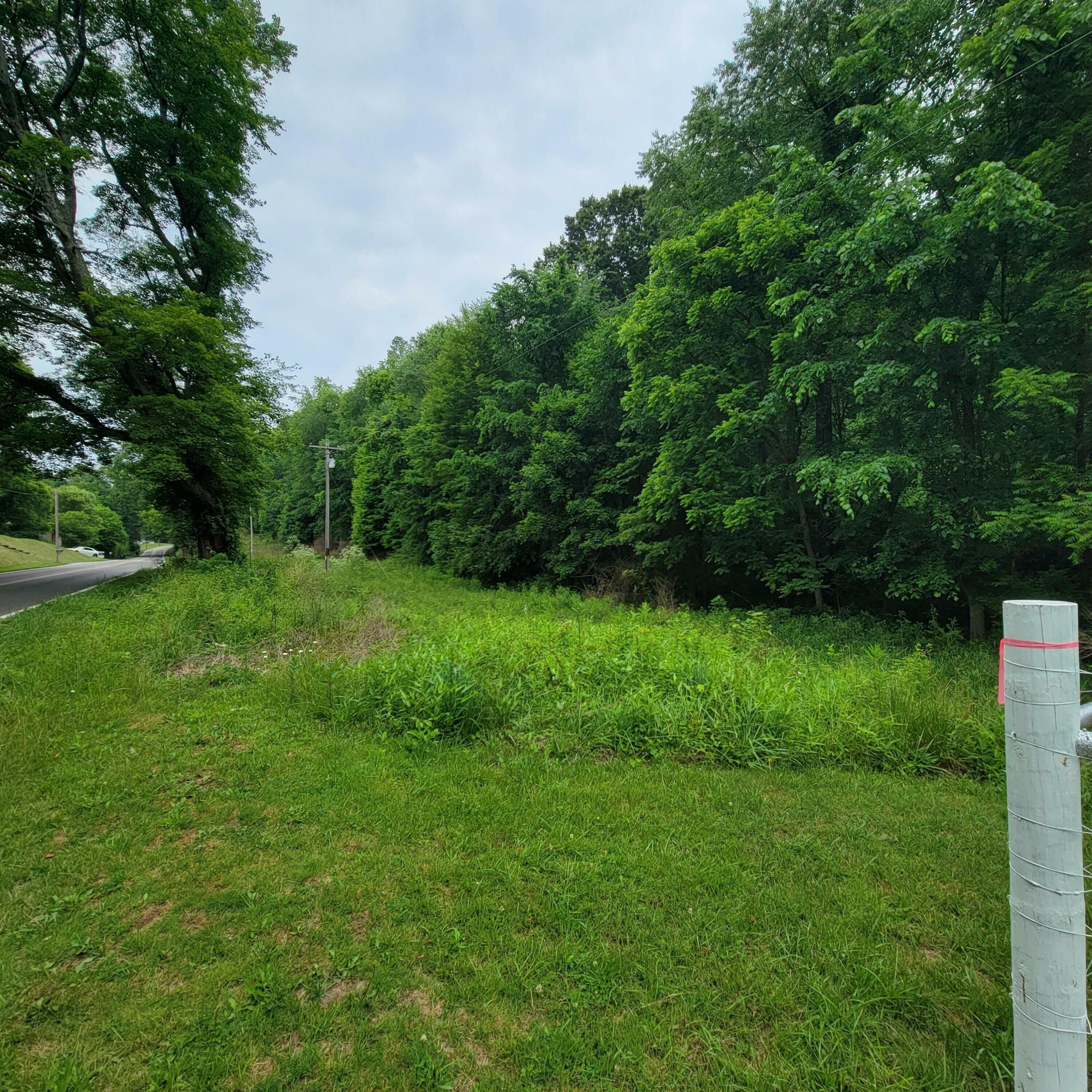 Property Photo:  0 Brushy Fork Road  OH 43055 