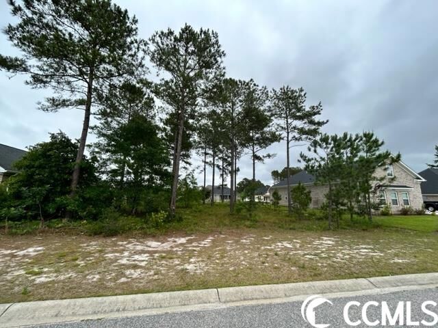 Property Photo:  927 Henry James Dr.  SC 29579 