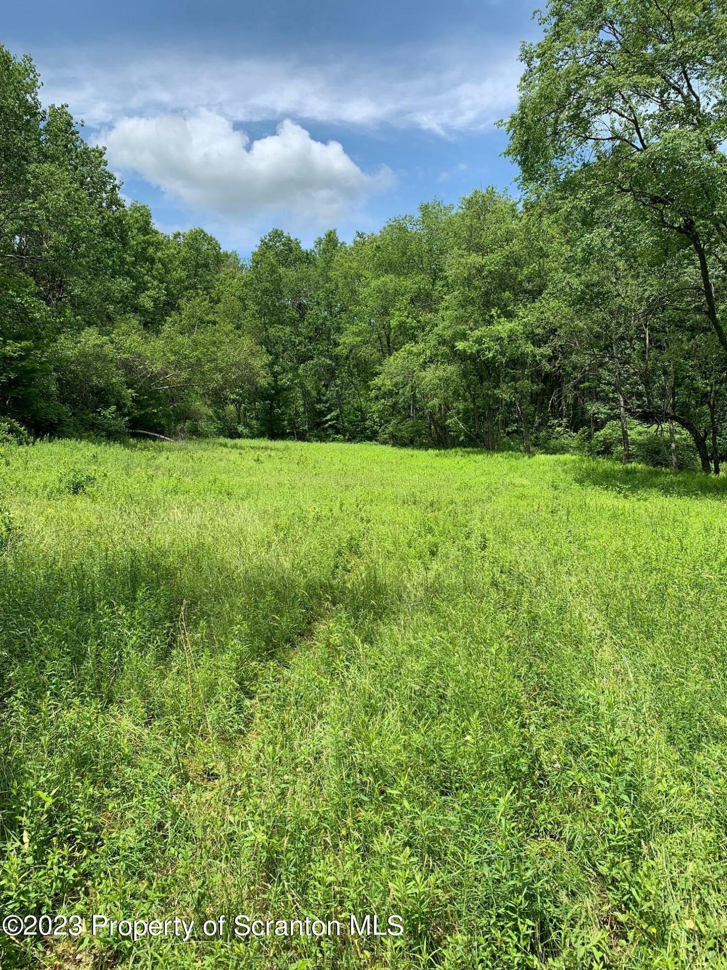 Property Photo:  0 Creek Road  PA 18470 