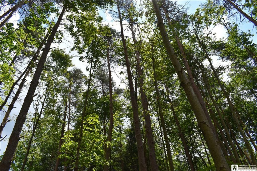 Property Photo: 0 Knight Road NY 14733
