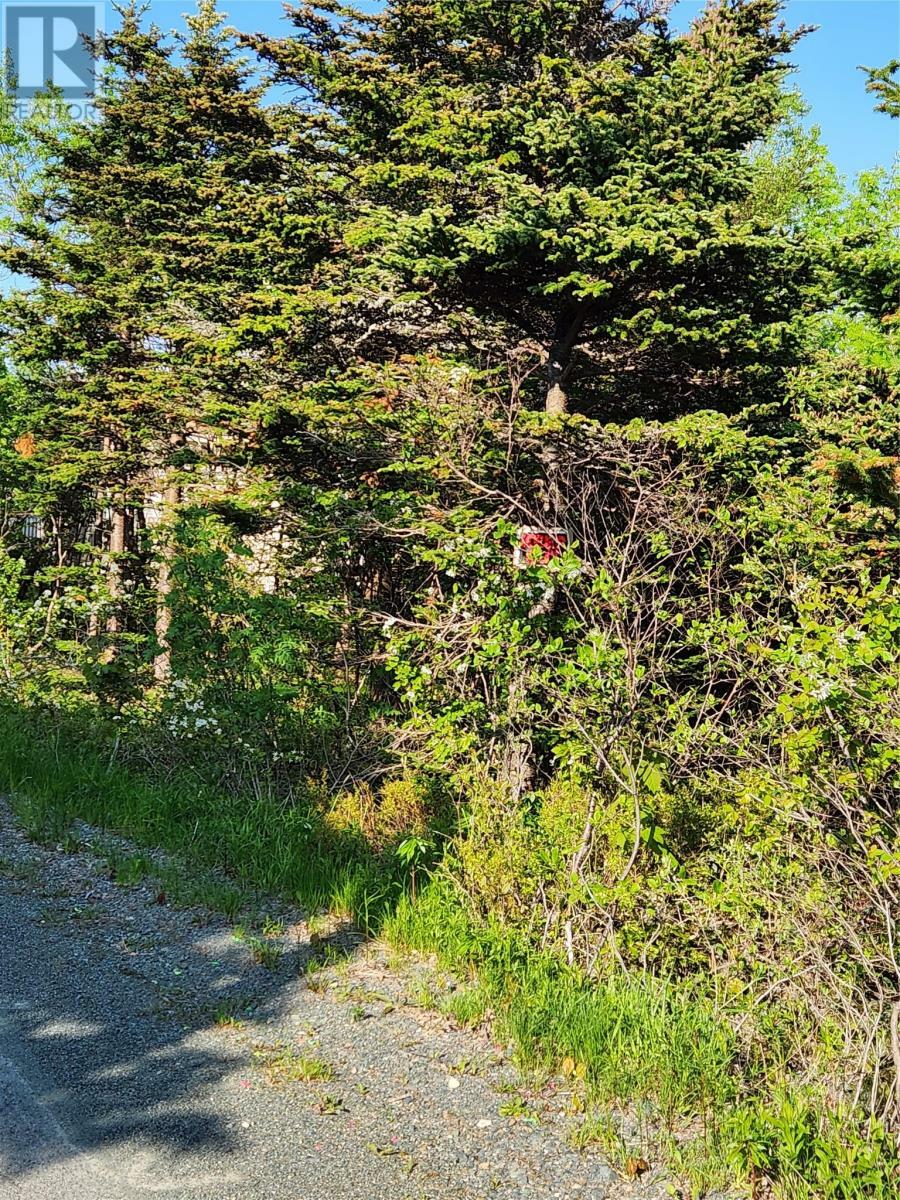 12 Blackberry Crescent  Torbay NL A1K1A2 photo