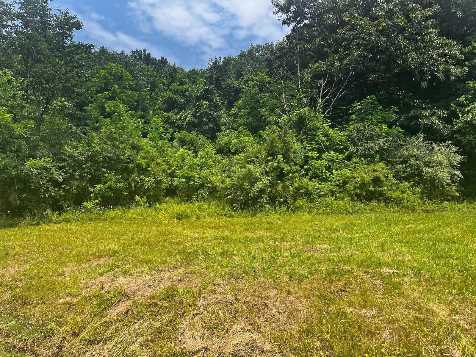 Property Photo: 420 Highland Hills Drive OH 43028