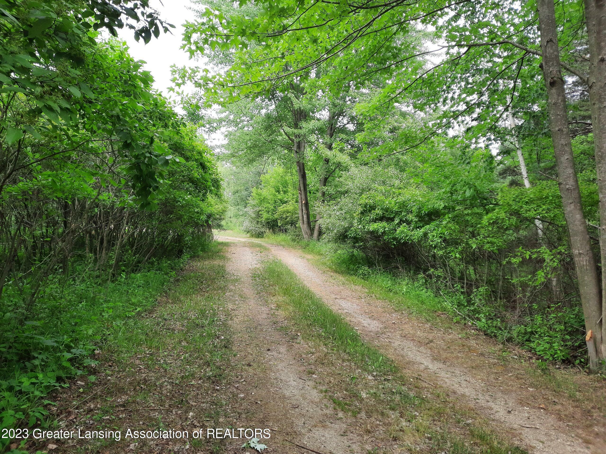 Property Photo:  00 W Maple Rapids Road  MI 48879 