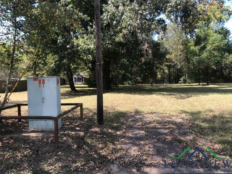 Property Photo:  507 S Harrison Street  TX 75601 