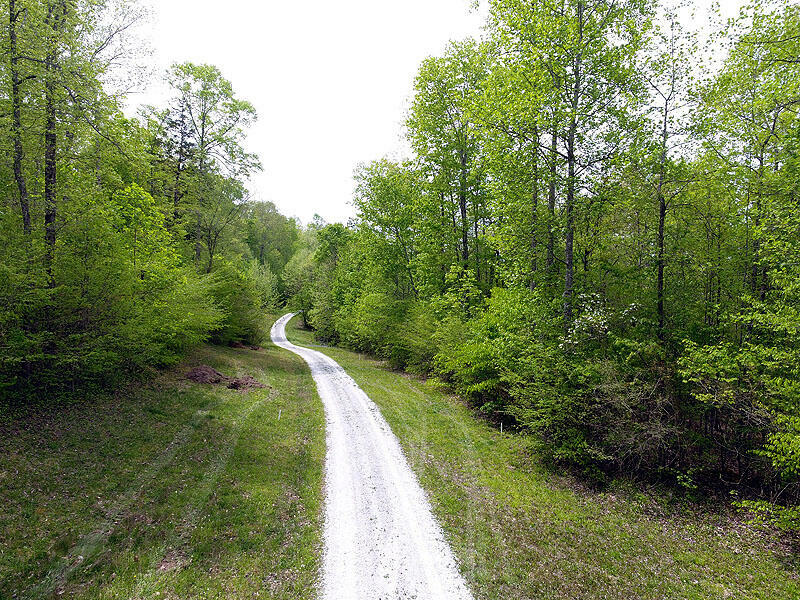 Property Photo:  Tract 5 Dogwood Drive  KY 42653 