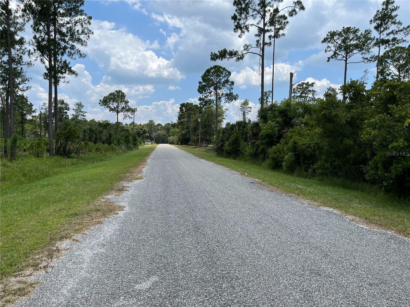 Property Photo:  Apricot Avenue  FL 32736 