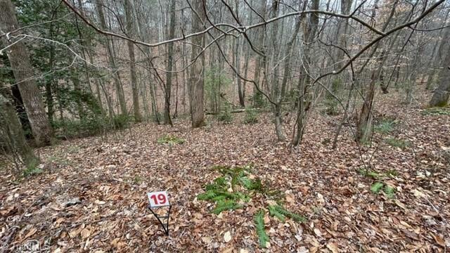 Property Photo: Lot 19 Woods Haven Lane VA 24171