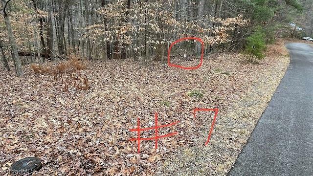 Property Photo: Lot 7 Woods Haven Lane VA 24171