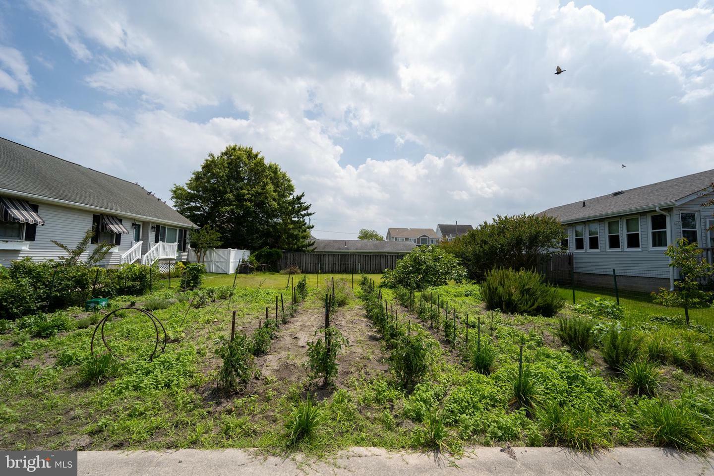 Property Photo: N Pacific Avenue MD 21842