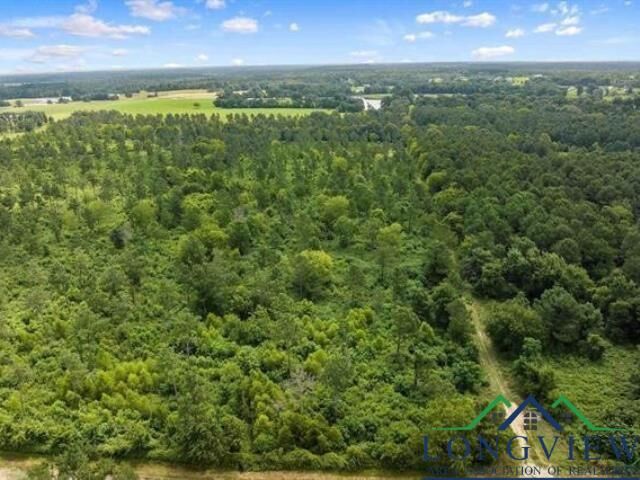 Property Photo: Tbd Cr 103 Tract 5 TX 75633