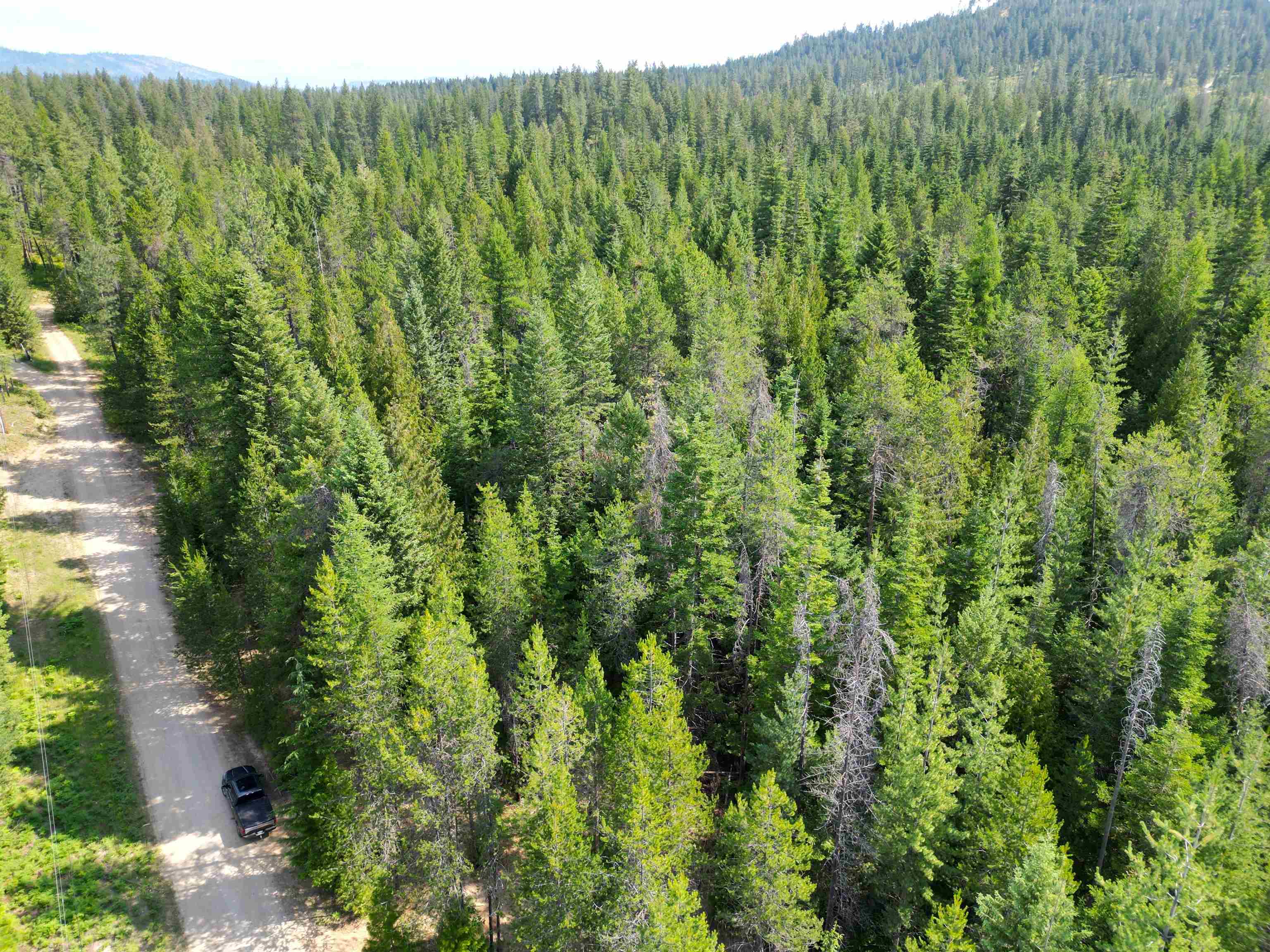 Property Photo:  000 Balcom Rd  WA 99156 