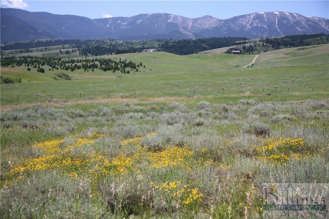 Property Photo: Lot 7 Sage Run MT 59068