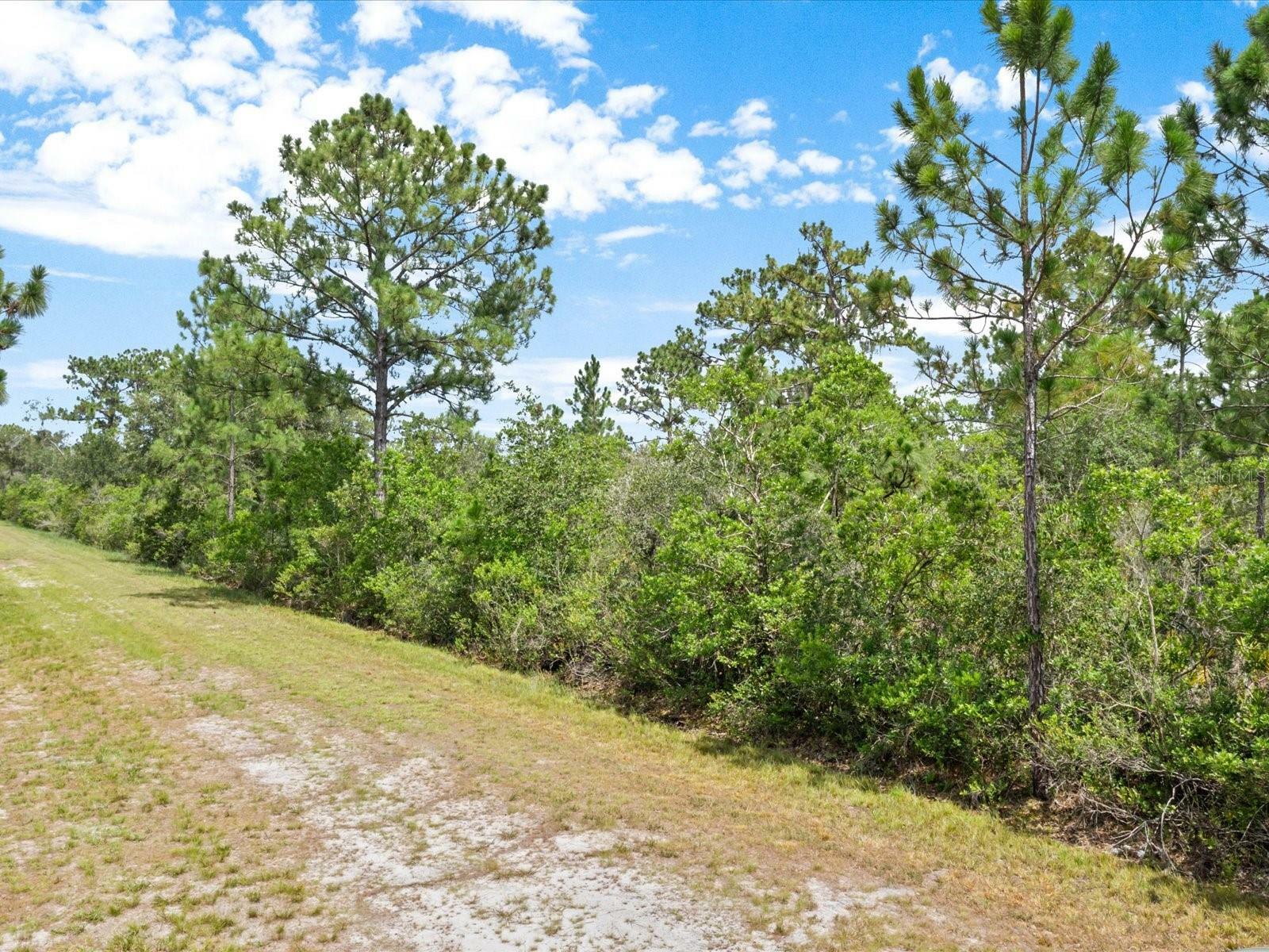 Property Photo:  317 El Dorado Drive  FL 33855 