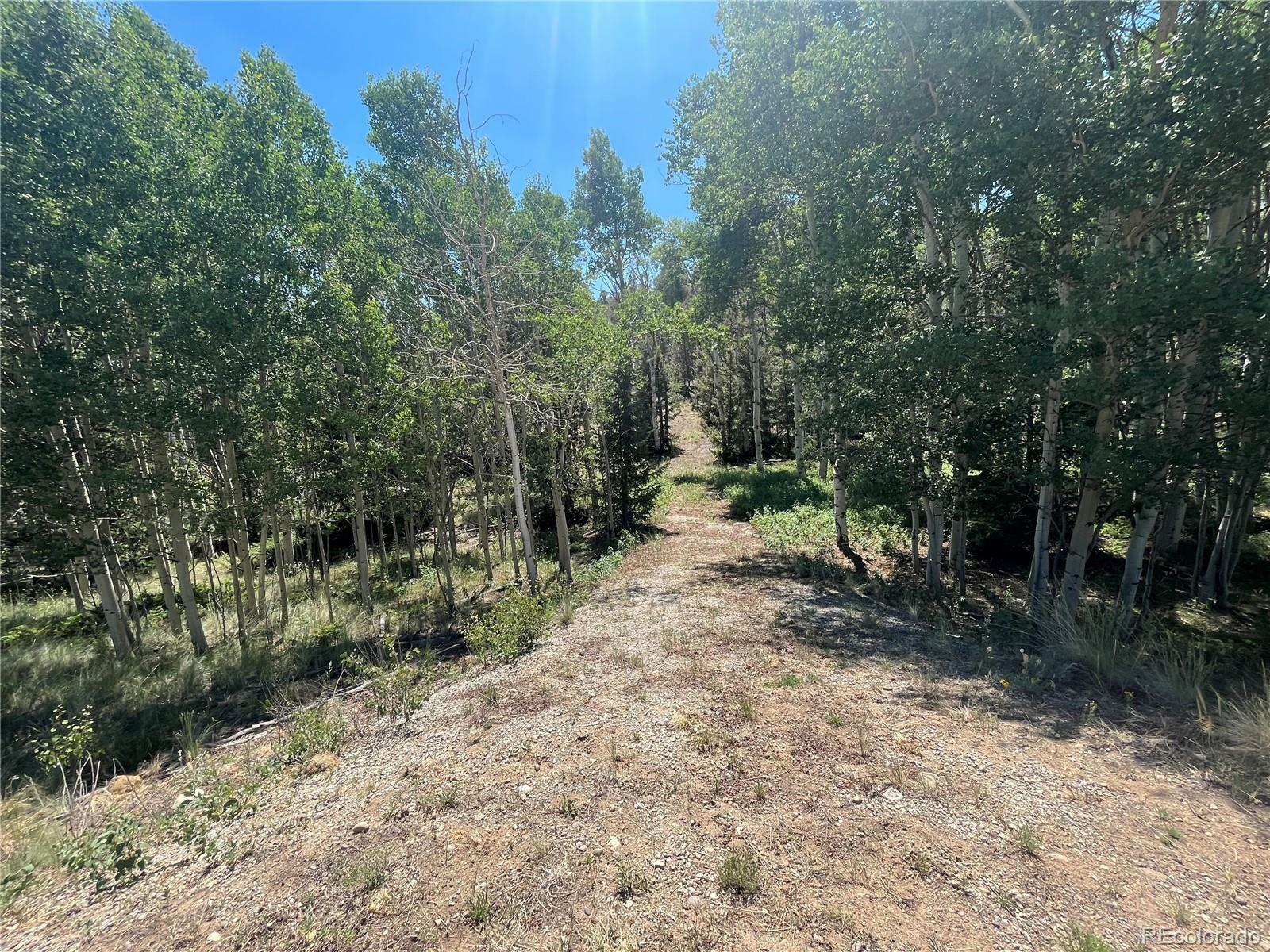 Property Photo:  4056 Ranch Road  CO 80449 