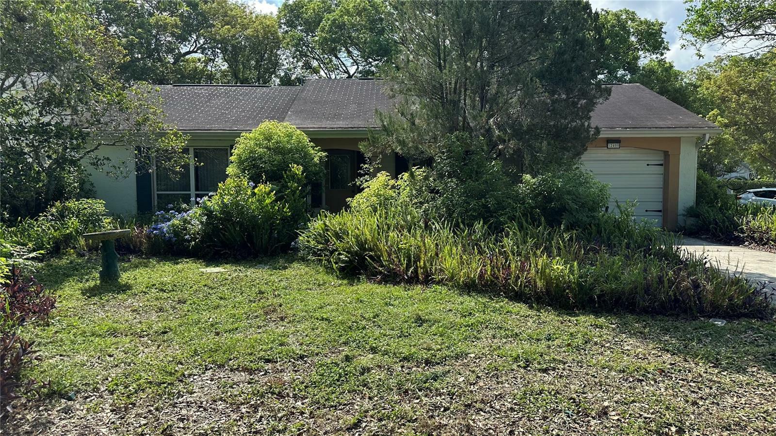 Property Photo: 12400 Carriage Lane FL 34667